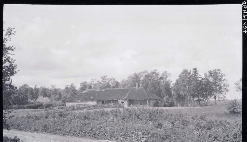 Talutare koos rehega