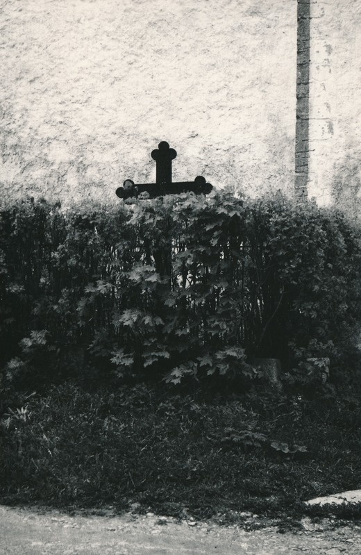 A. Knüpfferi haud Kadrinas