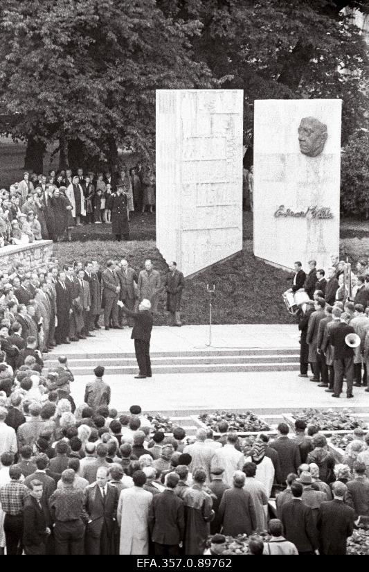 Kirjanik E. Vilde mälestusmärgi avamine Harju tänaval.