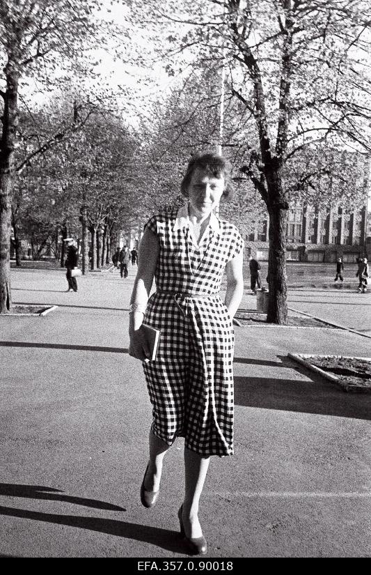 Skulptor Lagle Israel.