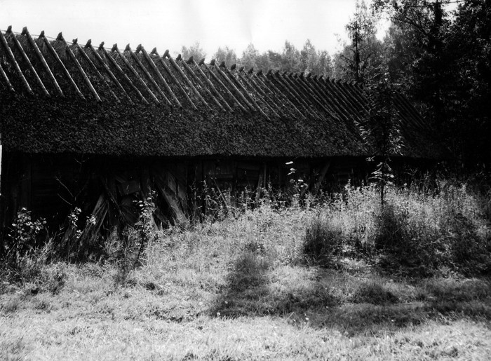 Mahajäetud talu kõrvalhoone Heistesoo külas
