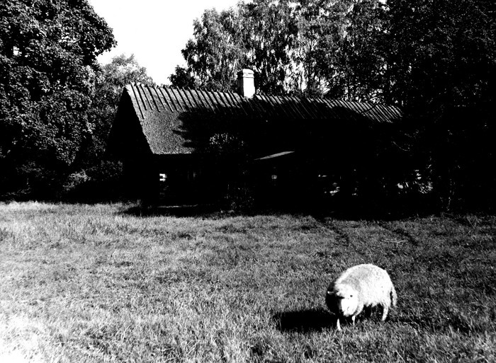 Joann Kallase elumaja Heistesoo külas