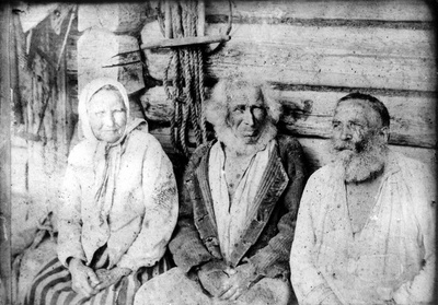 Hülgekütid Mägid Vahtrepa külas  duplicate photo