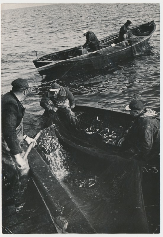 Salinõmme kaluribrigaad