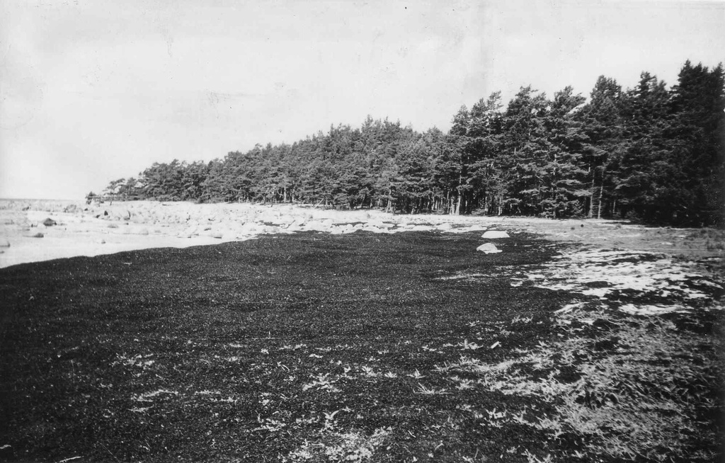 Mustana (Mustaranna) laht