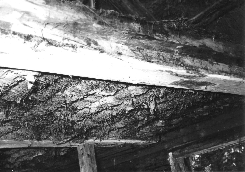 Rudolf Tobiase sünnikodu restaureerimistööde ajal. Lae konstruktsioon elutoas