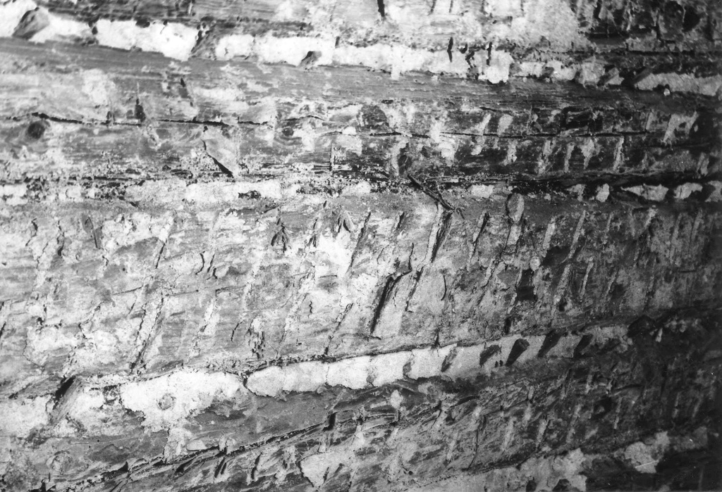 Rudolf Tobiase sünnikodu restaureerimistööde ajal. Panipaiga sein