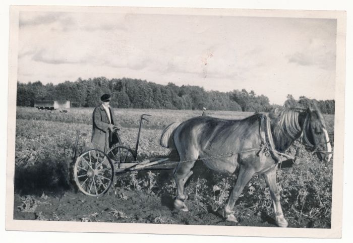 Foto. Kartulivõtt Märjamaa raj Edasi kolhoosis. Masinal Johannes Reegat. 24.09.1956. Foto Ü. Kalm.