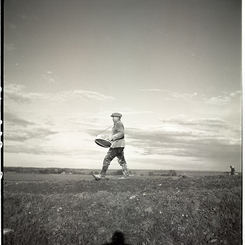 Tartumaa, külvaja külimitiga.