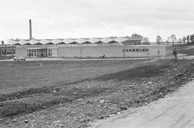 Say. A newly-prepared selve store.  similar photo