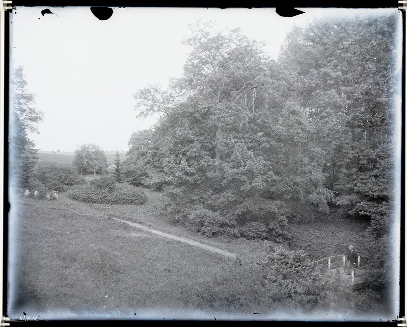 Uus-Prangli mõisa park