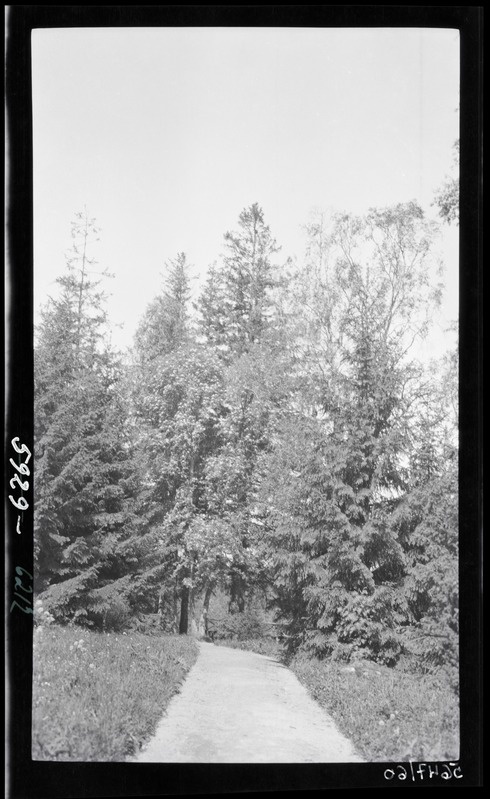Park