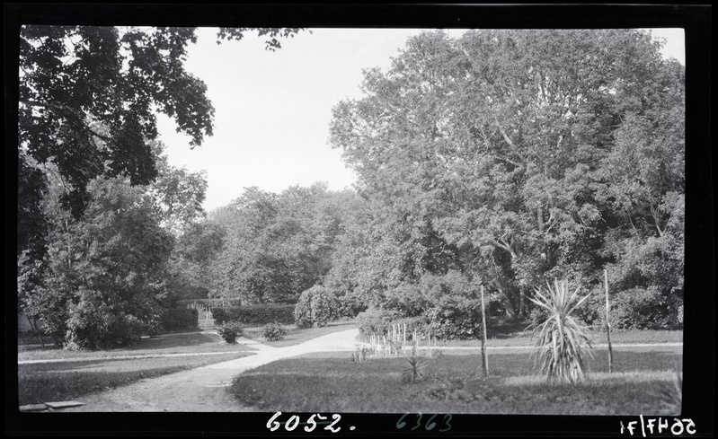 Park