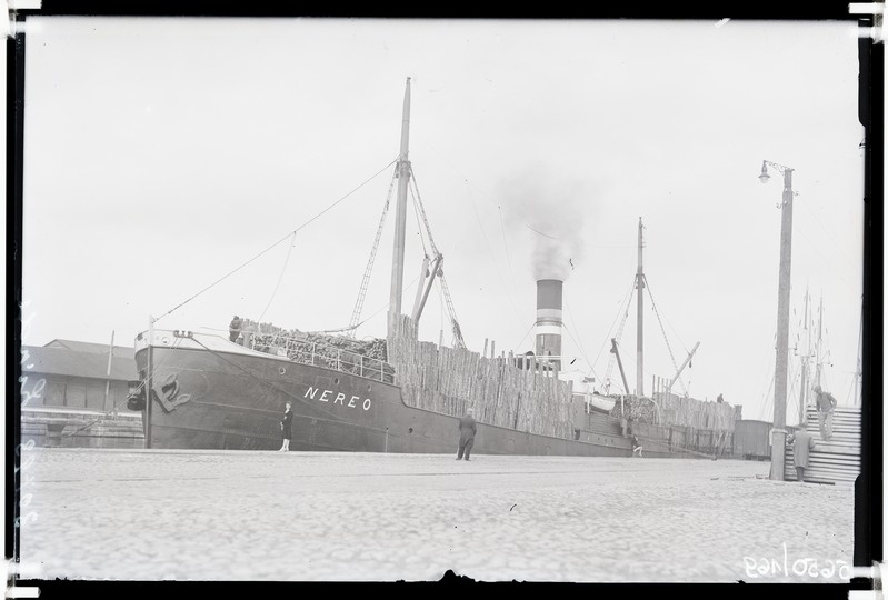 Kaubalaev "Nereo" laadungiga sadamas