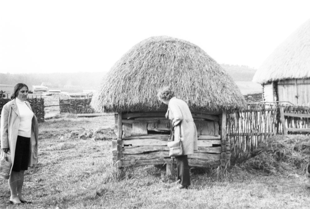 Kiievi vabaõhumuuseum, sealaut.