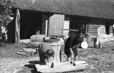 Ungari üliõpilased abistavad keemikut esemete konserveerimisel.  similar photo