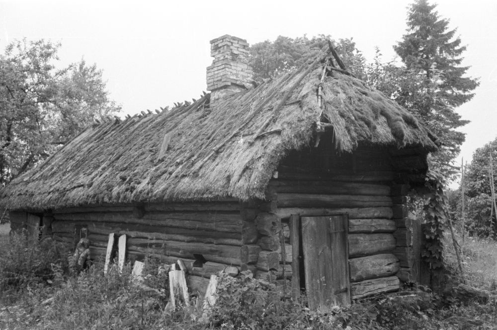 Aadu-Tõnu talu saun-suveköök Aasa külas.