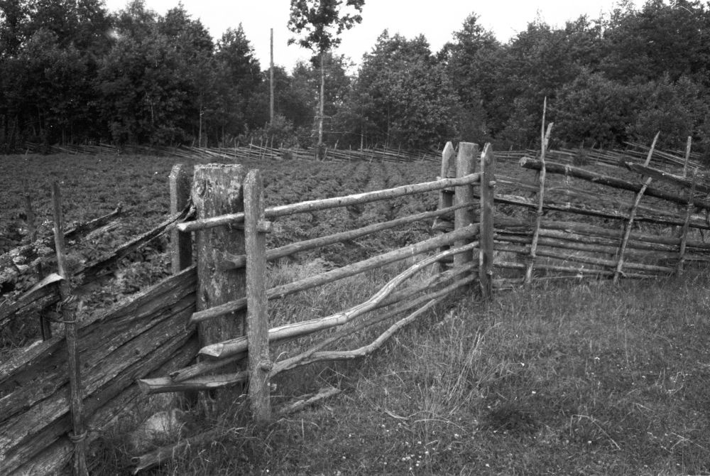 Aiamulk külatänava ääres.