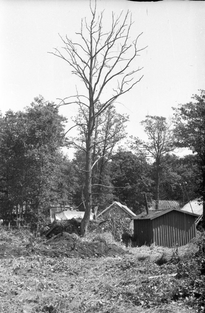 Vaade külaväljakult Kolga talu poole.