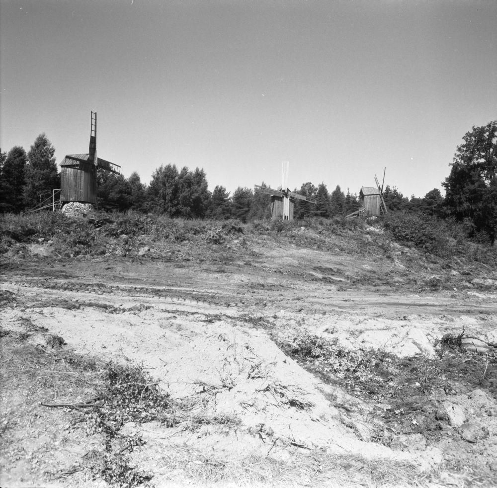 Vaade külaväljakult tuulikutemäele.