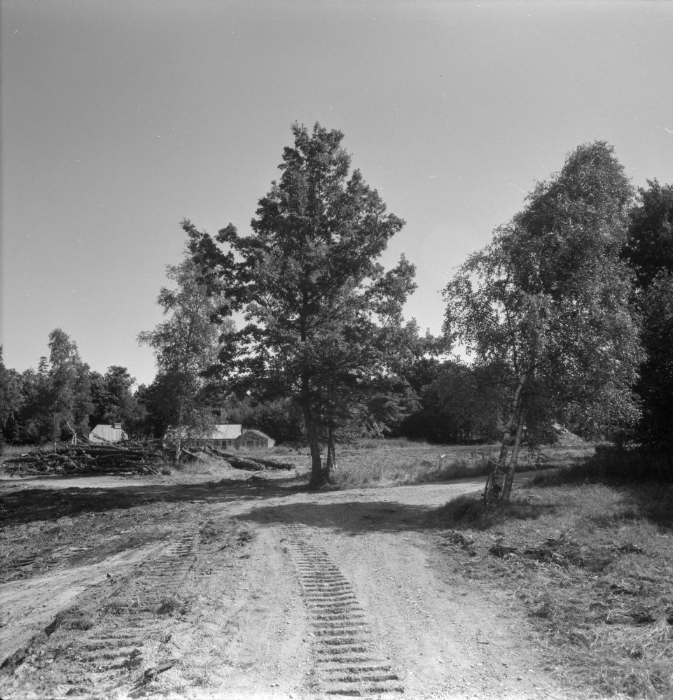 Vaade  tuulikutemäe teelt külaväljakule.