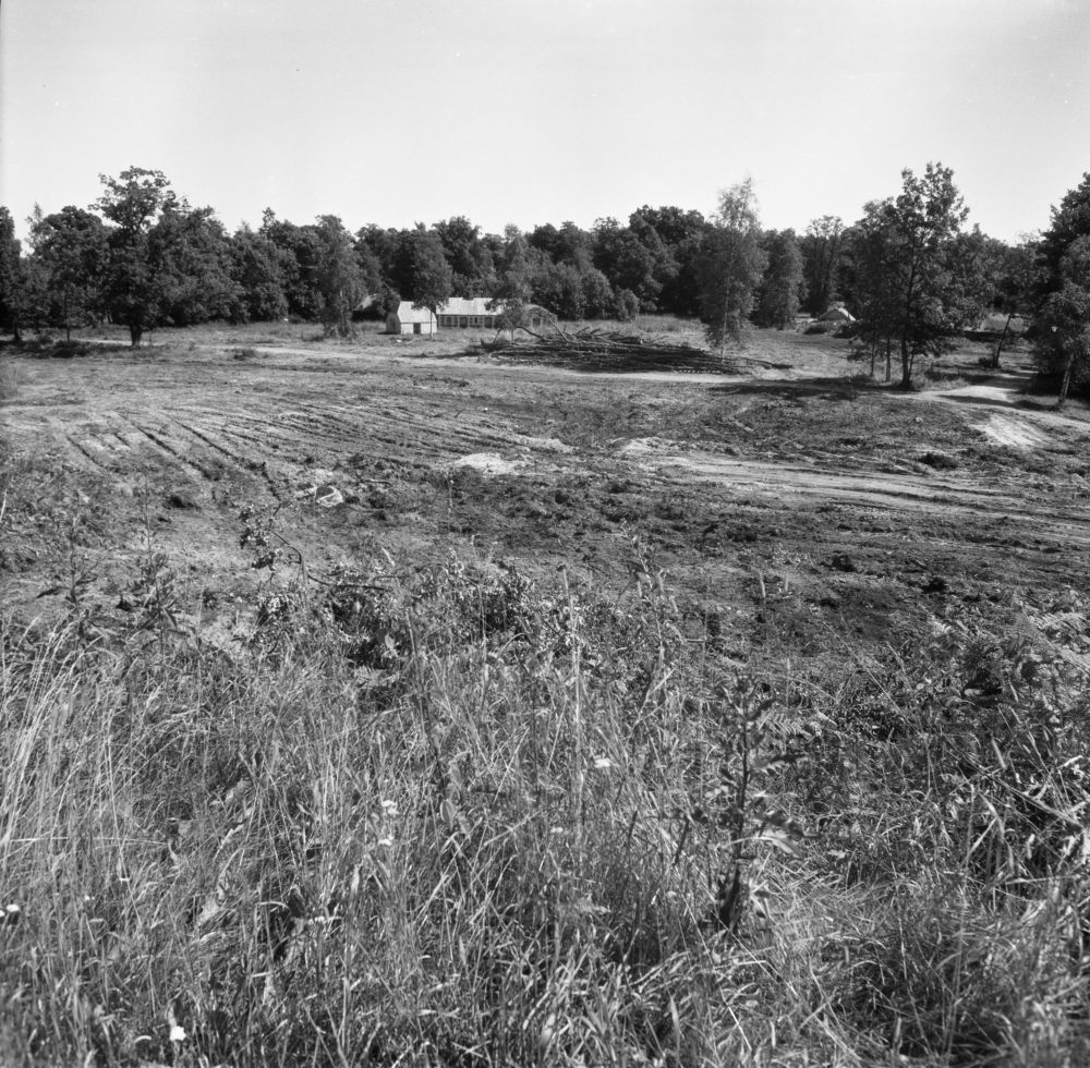 Vaade  tuulikutemäelt külaväljakule.