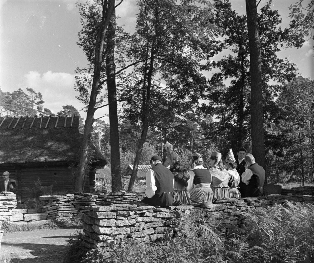 Puhkeparkide Direktsiooni rahvakunstiansambli liikmed külavahetee kiviaial.