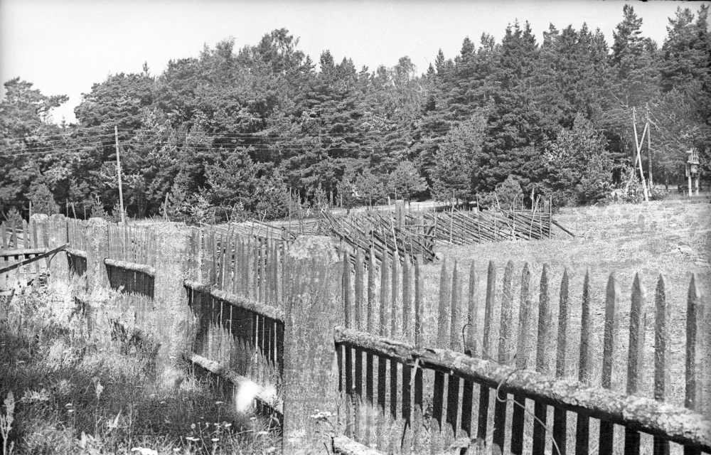 Uuepõllu talu õuevaade.