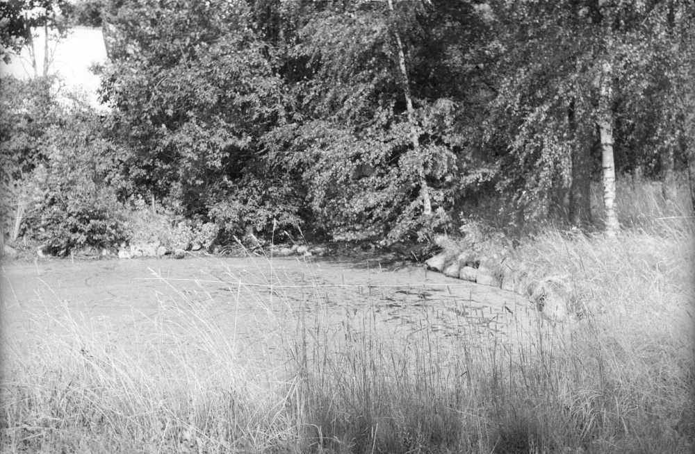 Masa-Vilu talu tiik kindlustatud kaldaga.