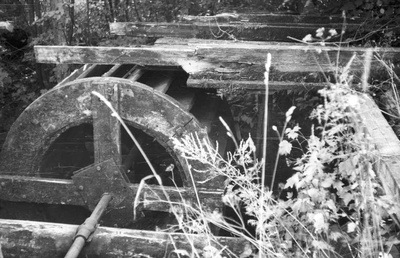 Vesiveski vesiratas, pealtjooksuga.  similar photo