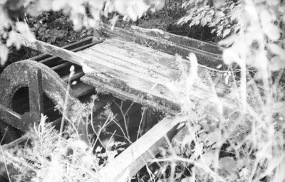 Vesiveski vesiratas, pealtjooksuga.  similar photo