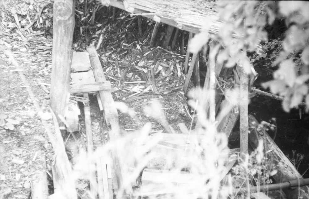 Vesiveski vesiratas, pealtjooksuga.