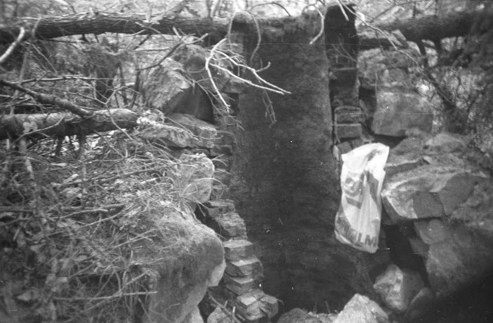 Järise küla Tõrvaku talu tõrvaahi.