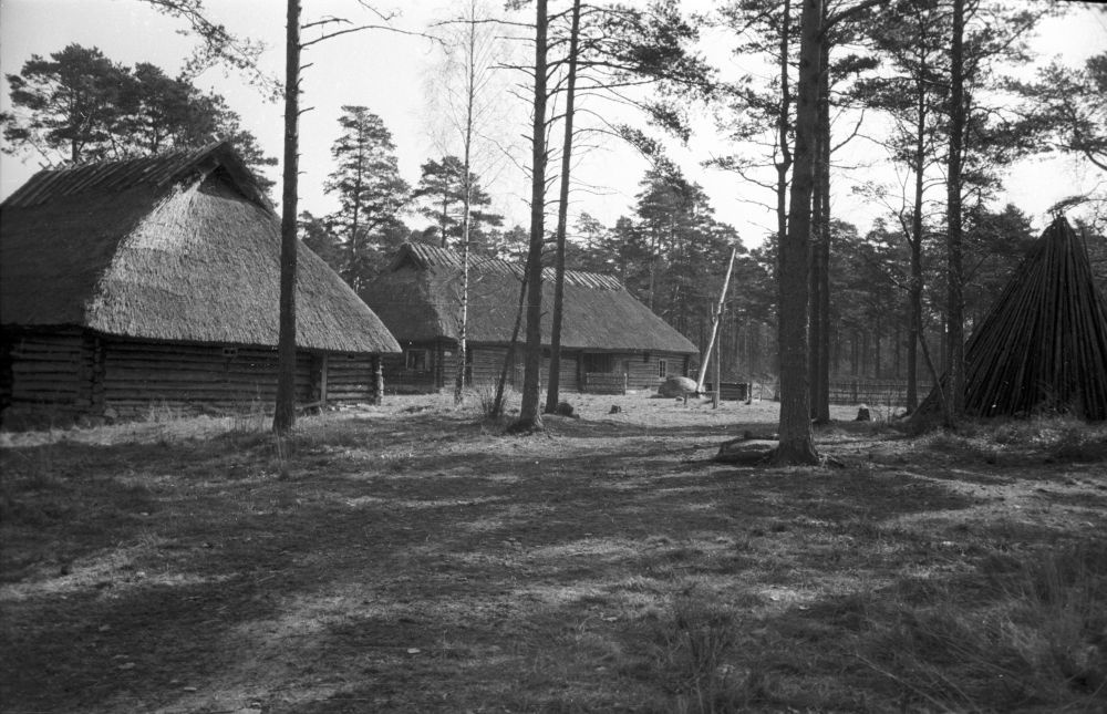 Köstriaseme talu õu.