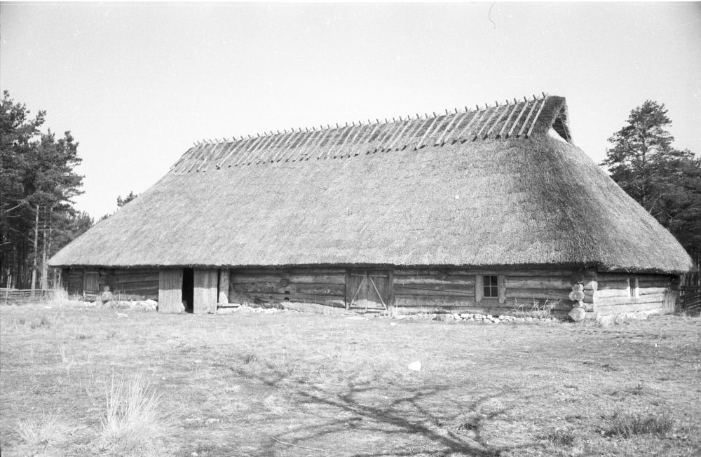 Sassi-Jaani talu rehemaja.