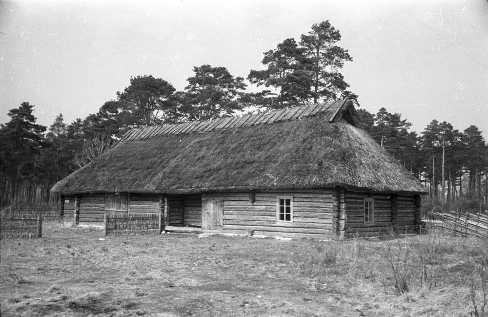 Köstriaseme talu rehemaja.
