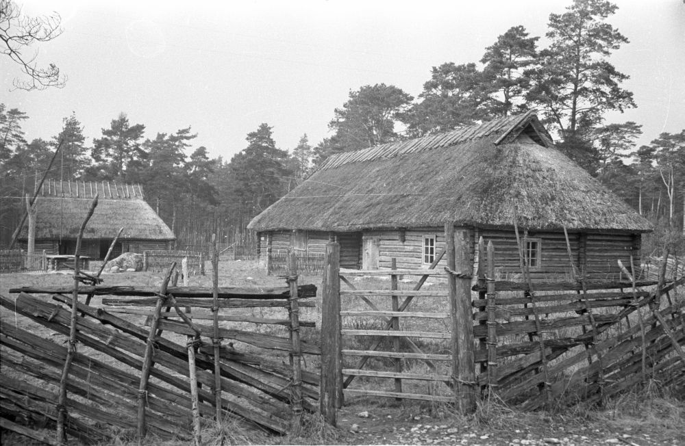 Köstriaseme talu õu.