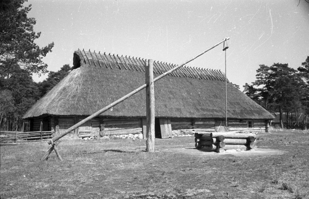 Sassi-Jaani talu rehemaja ja kaev.