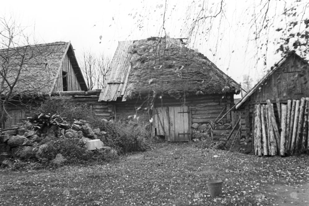 Talu kõrvalhooned Kuivajõe külas.