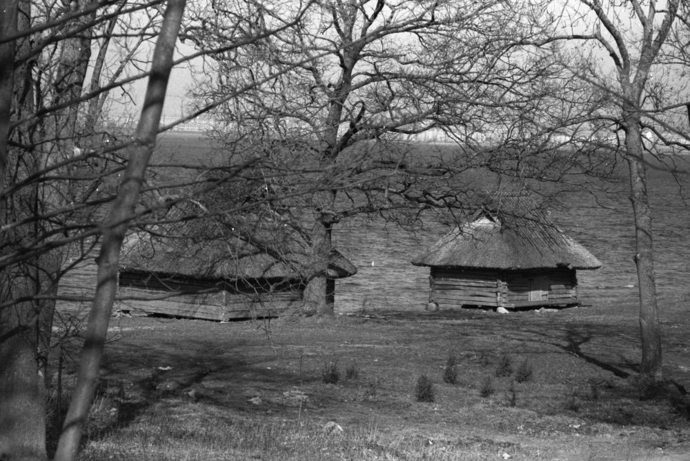 Saaremaa võrgumajad.