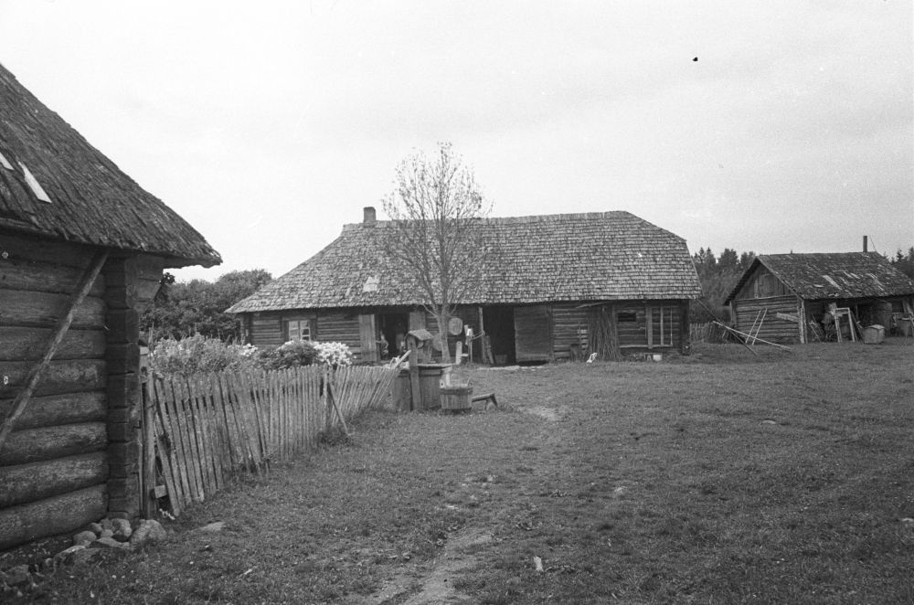 Ritsu popsitalu õu ja rehemaja Tinnikuru külas, eestvaade.