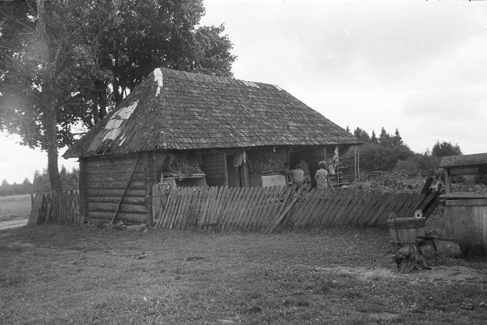 Ritsu popsitalu ait Tinnikuru külas, vaade esiküljele.