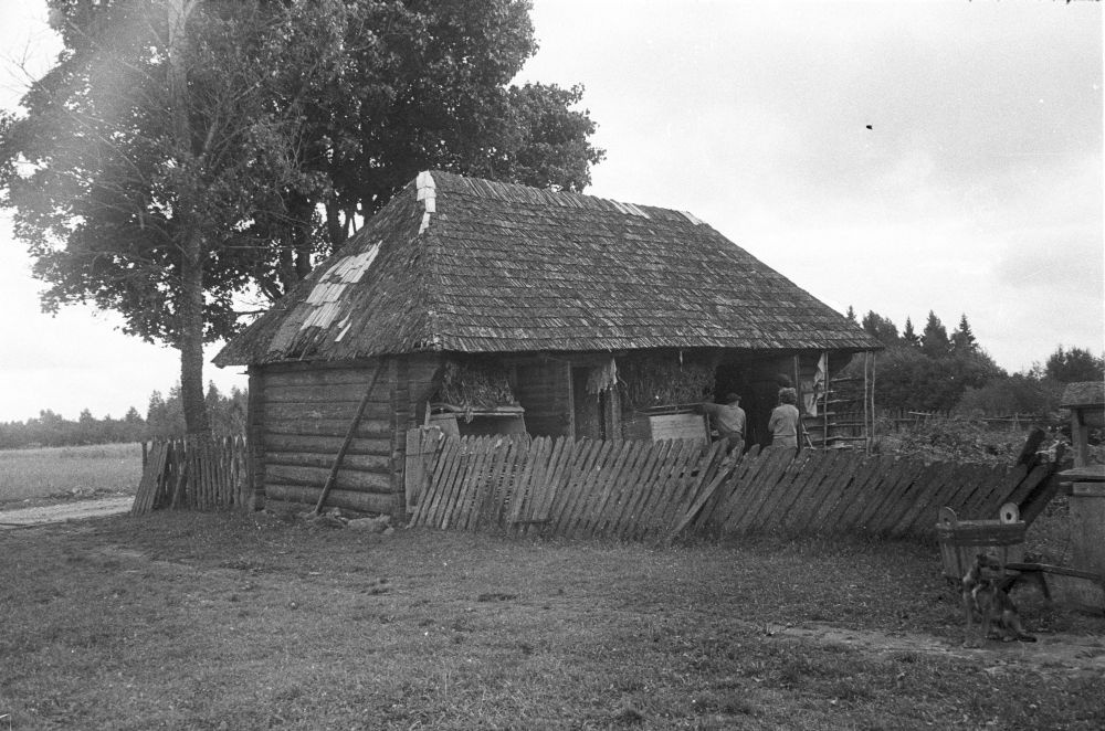 Ritsu popsitalu ait Tinnikuru külas, vaade esiküljele.