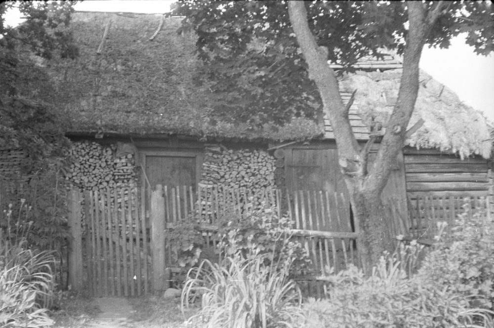 Mäe talu ait Kustja külas.