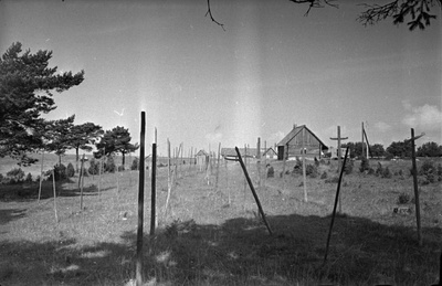 Võrkaed (vabuaed) Kiirassaare külas.  similar photo