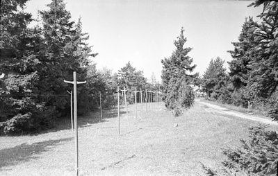 Võrkaed (vabuaed) Kiirassaare külas.  similar photo