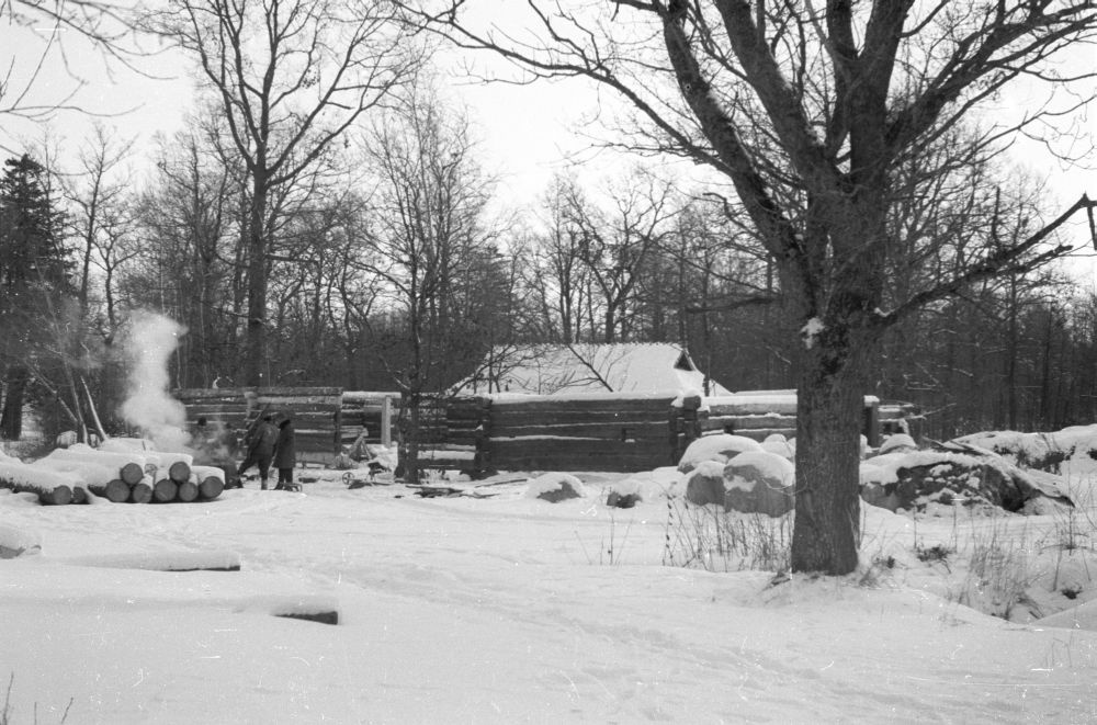 Roosta talu rehemaja, ehitusjärgus.