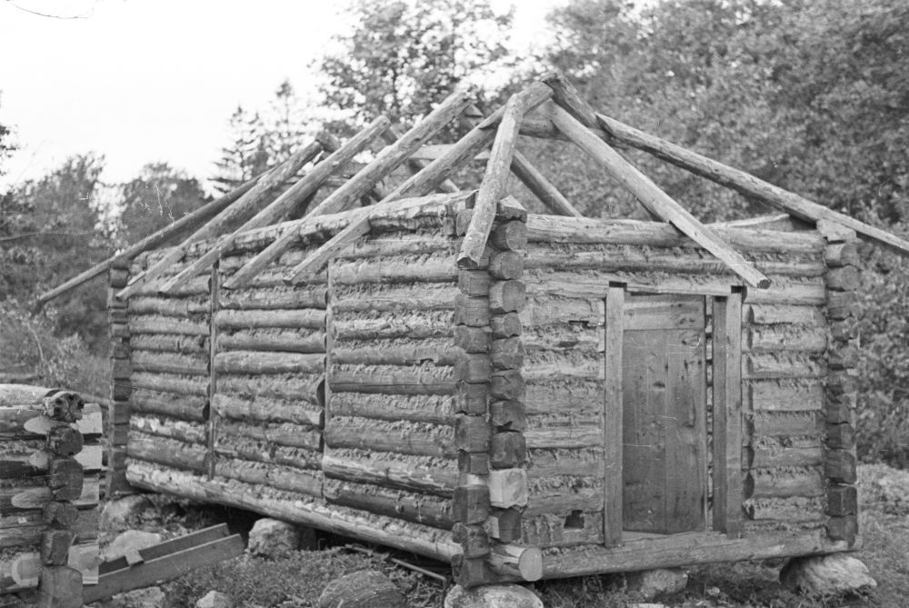 Eisma võrgukuur, ehitusjärgus.