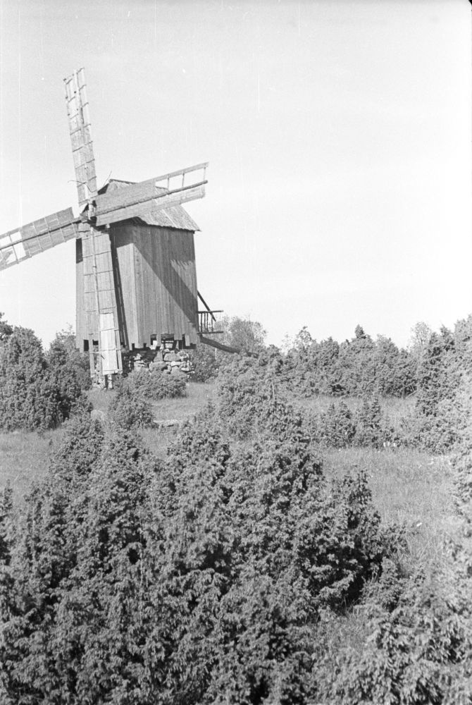 Nässumaa küla tuulik.