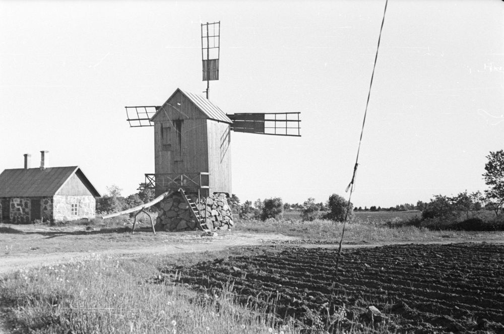 Nässumaa küla Mäe talu tuulik.